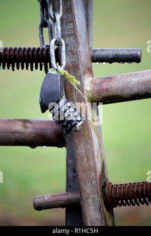 Combinazione bloccata con telaio metallico di gate farm a terreno coltivato nelle zone rurali Hampshire Foto Stock