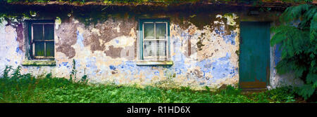 Immagine panoramica della vecchia decadendo cottage in Irlanda rurale. Foto Stock