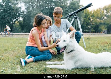 Famiglia di tre bambini sono a piedi nel parco con cane bianco Husky, seduto sul prato, divertendosi guardando al telefono cellulare. Foto Stock