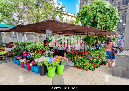 Fiori recisi, frutta e verdura per la vendita di fronte alla chiesa parrocchiale in stile gotico di San Juan Bautista, Arucas Gran Canaria Foto Stock