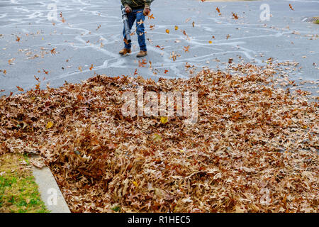 Uomo al lavoro con soffiatori di fogliame le foglie vengono in su e in giù in una giornata di sole Foto Stock