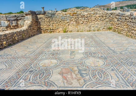 Mosaici romani Volubilis, Marocco Foto Stock