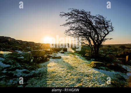 Frosty sunrise su un percorso di brughiera, tirapiedi, Cornwall, Regno Unito Foto Stock