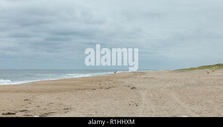 Persona a piedi un cane su un vuoto Indian Wells Beach in Eastern Long Island, NY Foto Stock