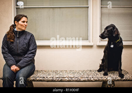 Dog sitter sul banco di lavoro con il proprietario Foto Stock