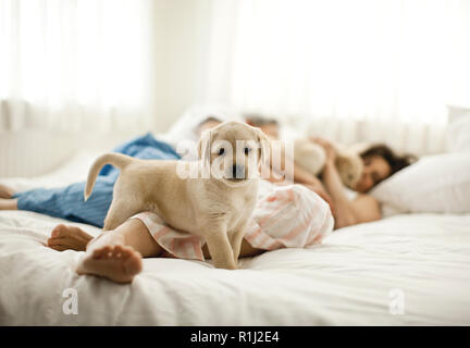 Sleeping giovane si trova con un piccolo gruppo di cuccioli. Foto Stock