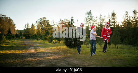 Felice gruppo di persone che porta un albero di Natale. Foto Stock