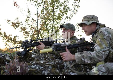Un U.S. Esercito Forze Speciali soldato (destra) assegnato al ventesimo le forze speciali Gruppo (Airborne) e un membro della nazionale lituana volontario di difesa Forze (KASP) stabilire una posizione di sicurezza durante l'esercizio Saber Junction 2018 presso la multinazionale comune disponibilità centro in Hohenfels, Germania, Settembre 19, 2018. Forze per le operazioni speciali hanno lavorato a fianco della KASP durante Saber svincolo 18 per condurre una guerra irregolare nemico in territorio occupato per sostenere gli Stati Uniti Dell'esercito 173rd Brigata Aerea come hanno eseguito operazioni di terra in una multinazionale ambiente misto. Foto Stock