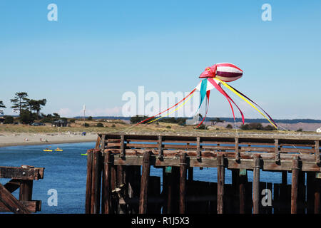 Il polpo in tessuto fluttuante nel vento a Port Townsend's Beach Foto Stock