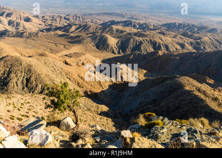 Vista tasti è un si affacciano da cui è possibile visualizzare Coachella Valley e il Deserto di Mohave NEGLI STATI UNITI D' AMERICA, a Joshua Tree National Park, California. Foto Stock