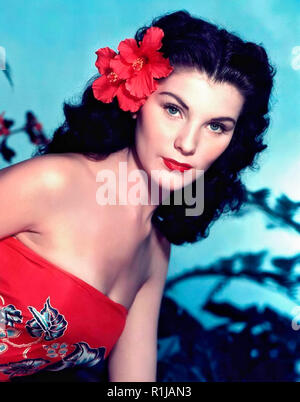 Debra Paget (nata Debralee Griffin; Agosto 19, 1933) è un'attrice americana e animatore. Lei è forse meglio conosciuta per le sue esibizioni in Cecil B. DeMille epico di dieci Comandamenti (1956) e in Love Me gara (1956) (il debutto della pellicola di Elvis Presley), e per le risque (per il momento) snake scena dance nel sepolcro indiano (1959) Credito: Hollywood Archivio foto / MediaPunch Foto Stock