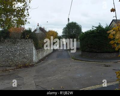 Braunton un villaggio Inglese in North Devon Regno Unito Foto Stock