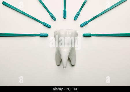 Lay piatto con disposizione di spazzolini da denti e modello di denti su sfondo bianco Foto Stock