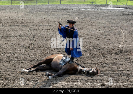 Spettacolo equestre nella puszta regione dell Ungheria Foto Stock