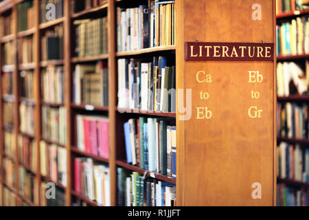 Biblioteca con libri sullo scaffale concetto di letteratura Foto Stock