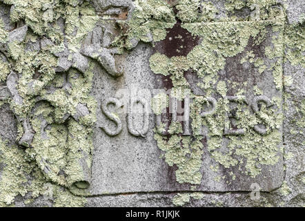 Weathered aveva pietra con la famiglia il cognome di scudieri Foto Stock