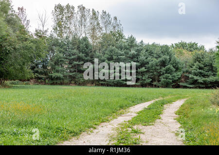 Semplice strada sterrata in un paesaggio verde Foto Stock