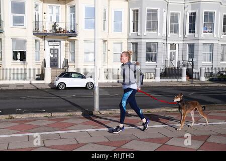 Hastings, East Sussex, Regno Unito. Xi Nov, 2018. Regno Unito: Meteo soleggiato splendido inizio di giornata nella cittadina balneare di Hastings come un paio di persone di passeggiare lungo la passeggiata sul lungomare. Una donna fa avanzare lungo il percorso con il suo cane sul rimorchio. © Paul Lawrenson 2018, Photo credit: Paolo Lawrenson / Alamy Live News Foto Stock