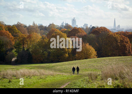 Regno Unito Meteo: una bella giornata autunnale a Hampstead Heath, a nord di Londra, 13 novembre 2018. Dove gli alberi sono a colori e la gente stanno godendo il buon clima autunnale. Credito: David Bleeker Photography.com/Alamy Live News Foto Stock