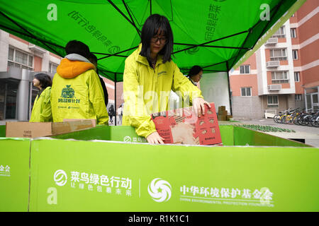 Pechino, Cina. Xiii Nov, 2018. I volontari di raccogliere gli imballaggi di pacchi in corrispondenza di un punto di riciclaggio presso Università Renmin di Cina a Pechino, capitale della Cina, nov. 13, 2018. Un campus campagna di sensibilizzazione ambientale sostenendo il riciclaggio e il riutilizzo dei rifiuti di imballaggio è stato lanciato qui su Martedì. Credito: Ju Huanzong/Xinhua/Alamy Live News Foto Stock