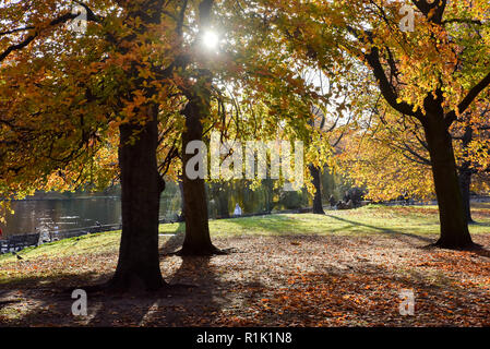 St James Park, London, Regno Unito. Il 13 novembre 2018. Autunno in London St James Park. Credito: Matteo Chattle/Alamy Live News Foto Stock