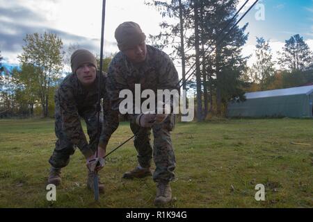 Stati Uniti Marine Corps Cpl. Nathan McKean, sinistra e Cpl. Christopher figlio, con sede reggimento, 2° Marine Logistics Group in avanti e serrare le fascette di un riparo durante la costruzione della seconda MLG in avanti il comando del centro di funzionamento per Trident frangente 18 in Norvegia, il 7 ottobre 2018. Trident frangente 18 è parte di un esercizio pianificato serie per migliorare gli Stati Uniti e gli alleati della NATO la loro capacità di lavorare insieme collettivamente a condurre operazioni militari sotto condizioni impegnative. Foto Stock