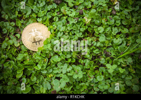 Criptocurrency consumo energetico sustainnability Foto Stock