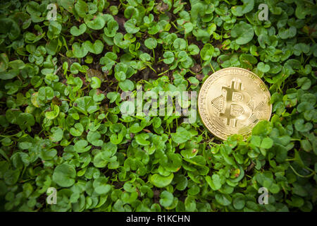 Criptocurrency consumo energetico sustainnability Foto Stock