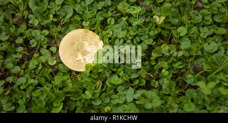 Criptocurrency consumo energetico sustainnability Foto Stock