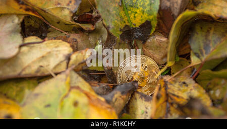 Criptocurrency consumo energetico sustainnability Foto Stock