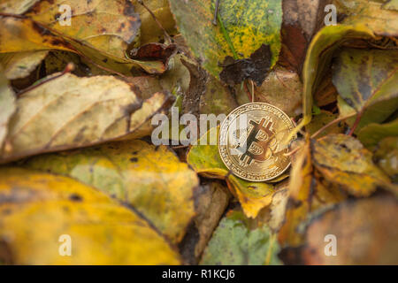 Criptocurrency consumo energetico sustainnability Foto Stock