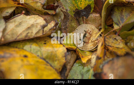 Criptocurrency consumo energetico sustainnability Foto Stock