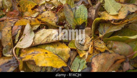 Criptocurrency consumo energetico sustainnability Foto Stock