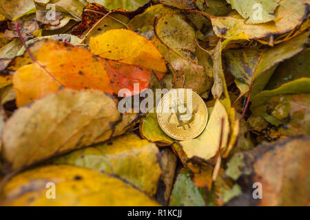 Criptocurrency consumo energetico sustainnability Foto Stock