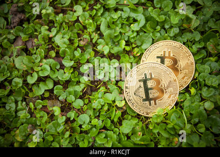 Criptocurrency consumo energetico sustainnability Foto Stock