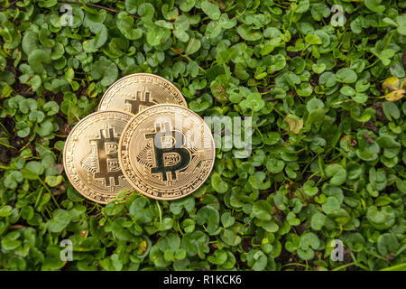 Criptocurrency consumo energetico sustainnability Foto Stock
