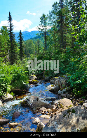 Bella e soleggiata estate paesaggio. Che scorre veloce sorgente del fiume di montagna tra fitti boschi e grandi pietre, West Siberia, Russia Foto Stock