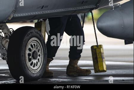 Un U.S. Air Force Tactical Aircraft maintainer rimuove i gessi da un F-16CM Fighting Falcon a Shaw Air Force Base, S.C., Ottobre 10, 2018. In seguito tutti i controlli di preflight, Tactical Aircraft manutentori rimuovere i gessi per fornire i getti di mobilità. Foto Stock