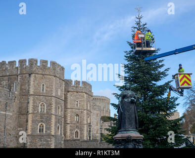 Le luci sono installati sull'albero di Natale al di fuori del Castello di Windsor, Berkshire, precedendo le luci di Natale accendere e lanterna processione il 17 novembre dal personale di lampade e tubi luminarie Ltd lavora per il Royal Borough of Windsor e Maidenhead. Foto Stock