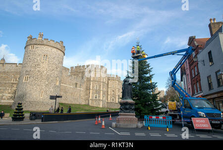 Le luci sono installati sull'albero di Natale al di fuori del Castello di Windsor, Berkshire, precedendo le luci di Natale accendere e lanterna processione il 17 novembre dal personale di lampade e tubi luminarie Ltd lavora per il Royal Borough of Windsor e Maidenhead. Foto Stock