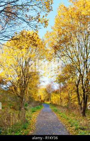 Autunno vista lungo la costa a costa percorso ciclabile vicino a Stanley, Co. Durham, England, Regno Unito Foto Stock