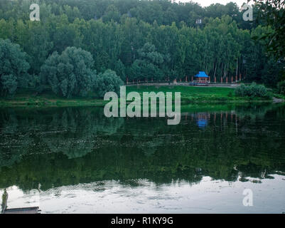 La banca del fiume Oka in estate, Russia Foto Stock