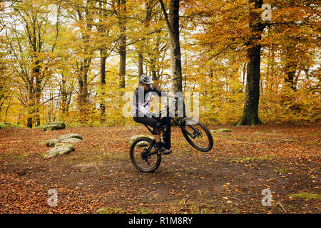 Soriano del Cimino (VT), Italia - 11 Novembre 2019: un ragazzo su una mountain bike passa attraverso un sentiero nella foresta di faggio, sollevamento della bicicletta su un singolo Foto Stock