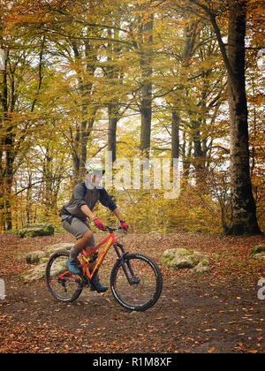 Soriano del Cimino (VT), Italia - 11 Novembre 2019: un ragazzo su una mountain bike passa attraverso un sentiero nel bosco di faggio. Sullo sfondo gli alberi e Foto Stock