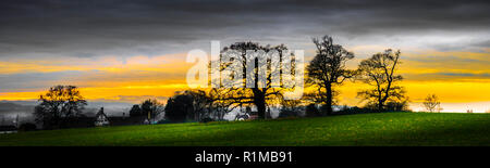 Panorama delle sagome ad albero sul bordo di un campo contro un cielo di sera sul Tyntesfield Station Wagon Foto Stock