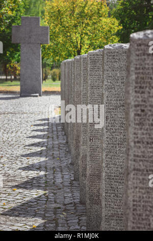 Vista ravvicinata di identici tombe in pietra con caratteri posti in fila al cimitero Foto Stock