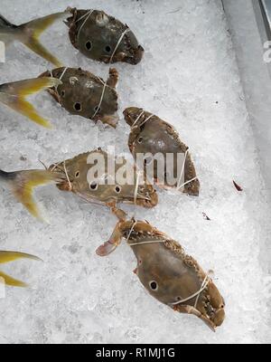 Bella immagine di tre spot granchio di nuoto (Portunus sanguinolentus) nel mercato tailandese Foto Stock