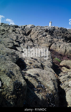 Costa della morte con il faro in Galizia Foto Stock