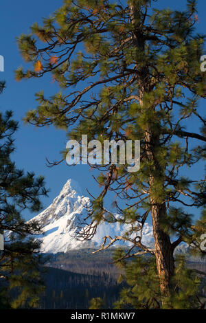 Washington Mt da Washington Mt Viewpoint, McKenzie Pass-Santiam Pass National Scenic Byway, Deschutes National Forest, Oregon Foto Stock