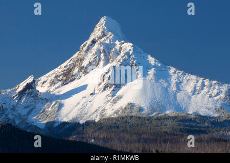 Washington Mt da Washington Mt Viewpoint, McKenzie Pass-Santiam Pass National Scenic Byway, Deschutes National Forest, Oregon Foto Stock